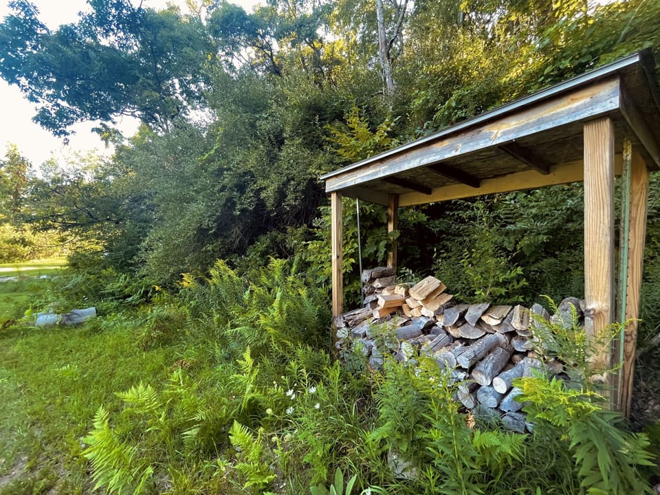 Plenty of dry wood