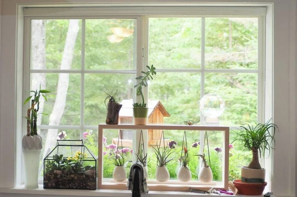 You can't ask for a better view from the kitchen sink!