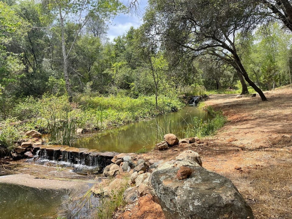 Two Separate Waterfalls which feed into the Duck Pond