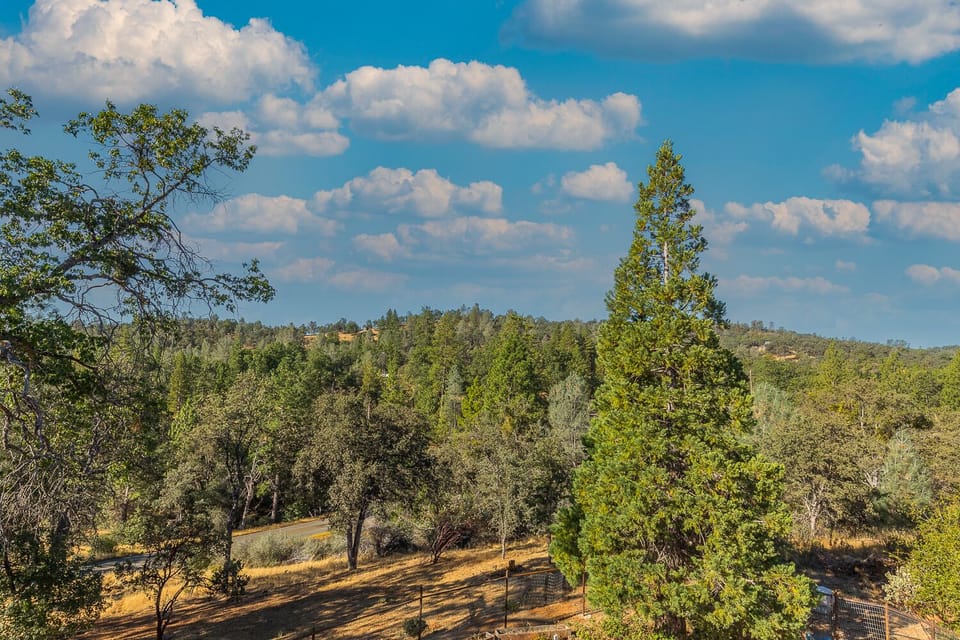 Pines and Oaks- peaceful and private
