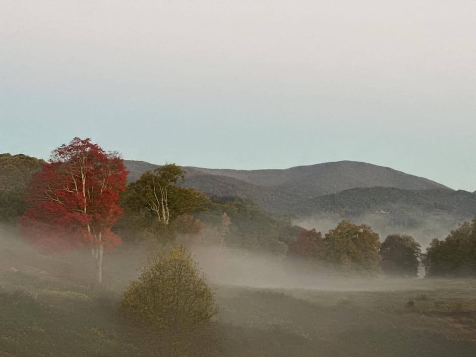 A gorgeous foggy morning.
