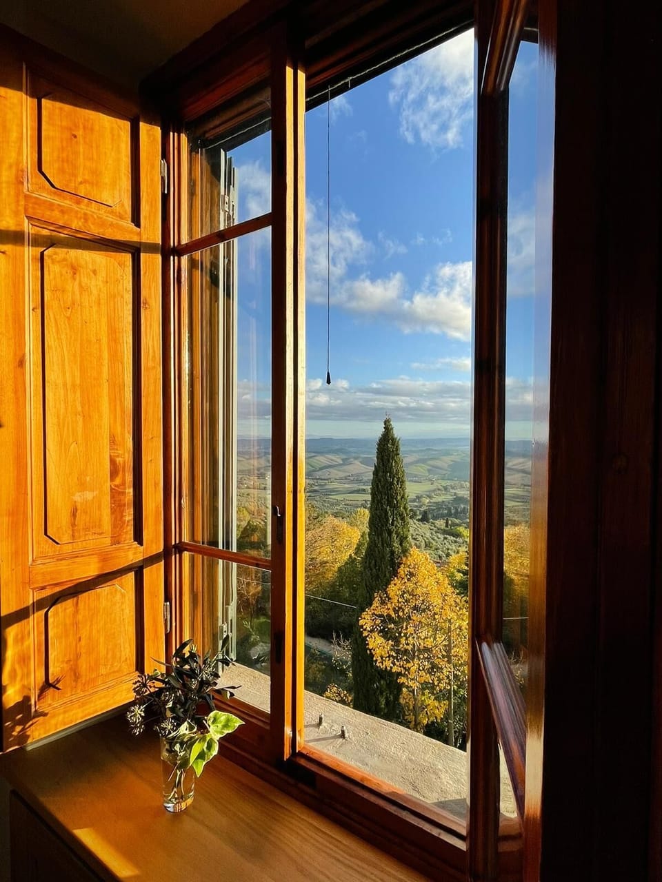 View from Kitchen window