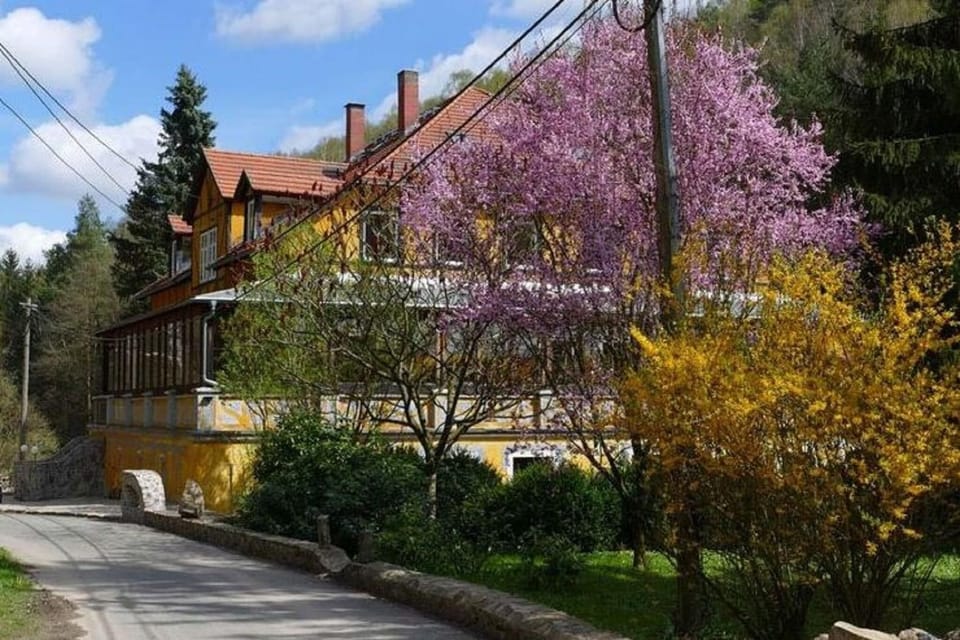 Holiday Home Exterior [summer]