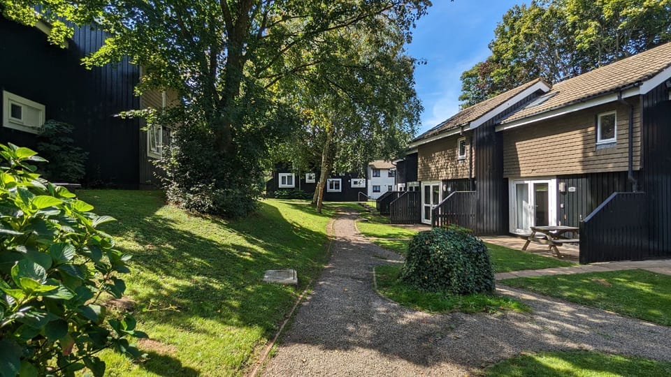 Tolroy Manor - Strawberry Fields