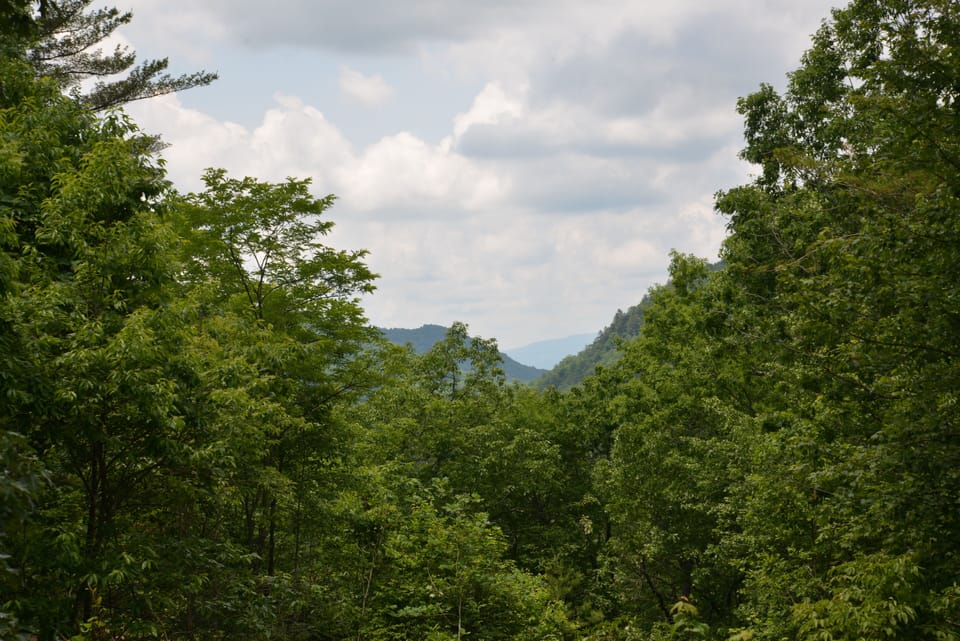 View off deck