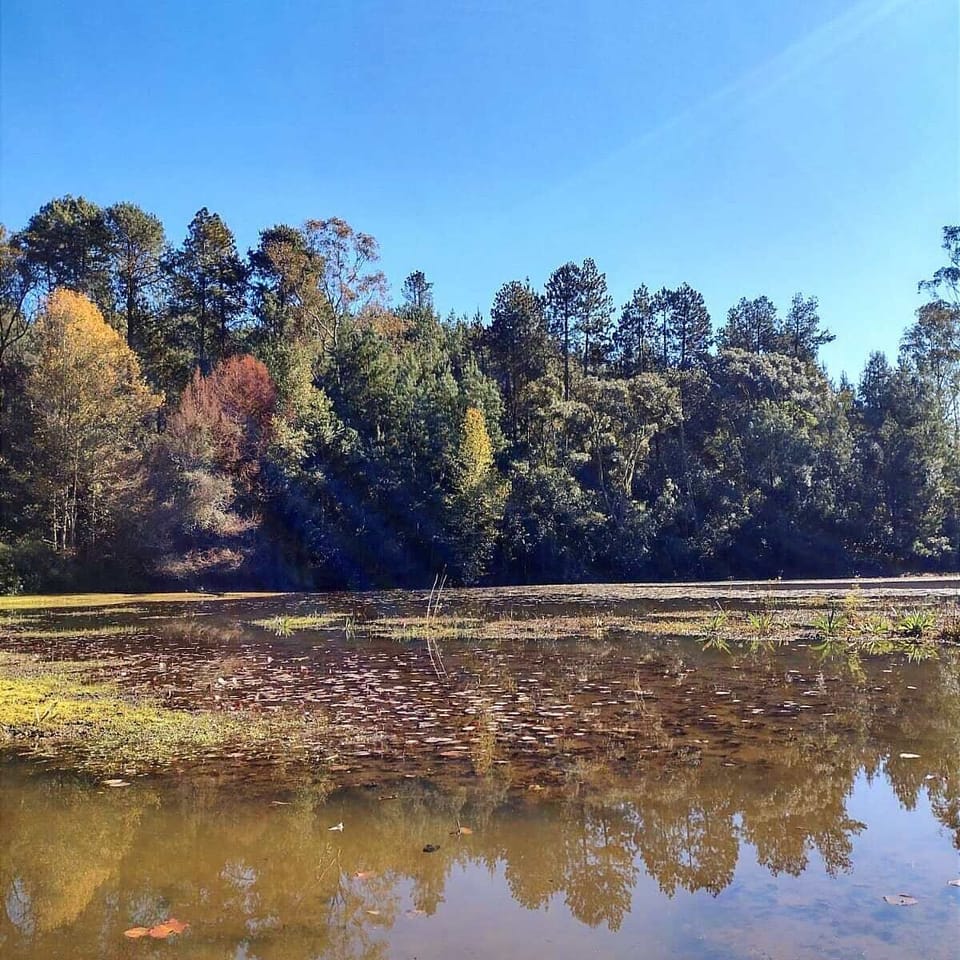Lake