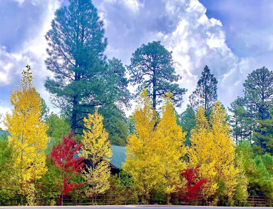 Autumn