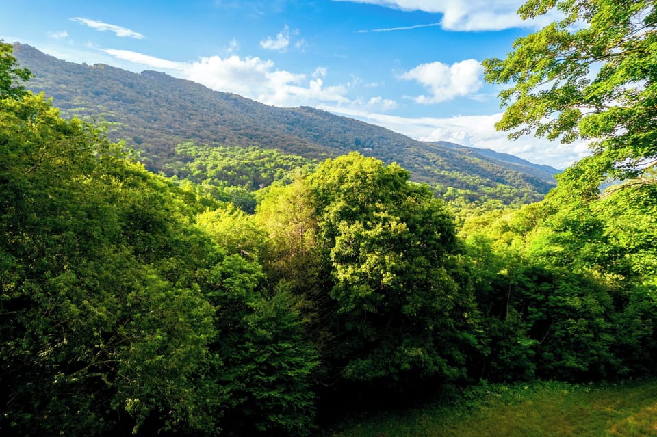 Drone footage of valley & mountains adjacent to the property
