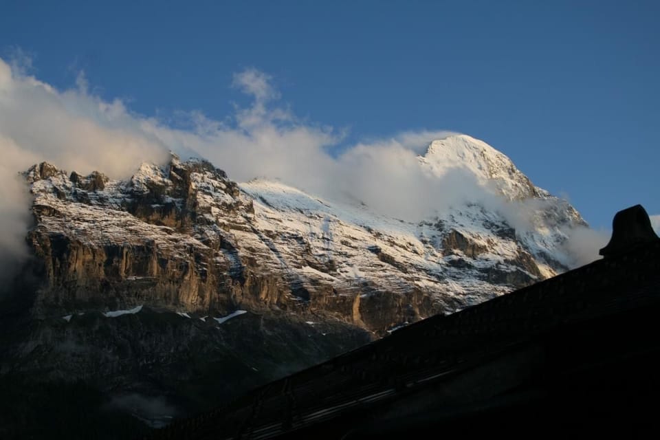 Picture 7