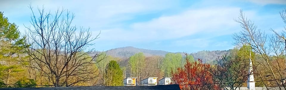 View from the living room and bedroom!