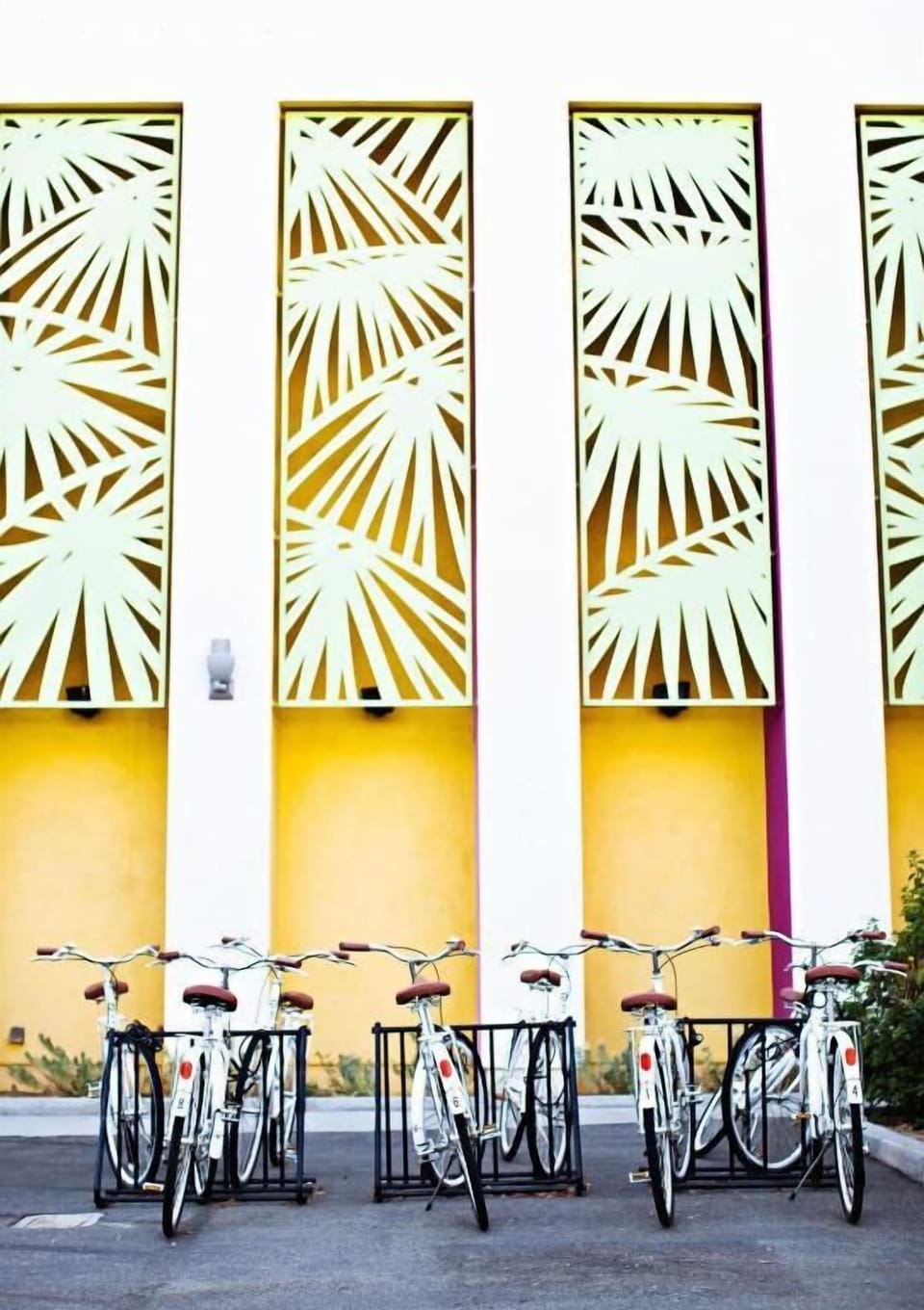 Bike Rentals