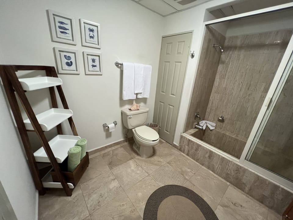 Main Bathroom Shower/tub