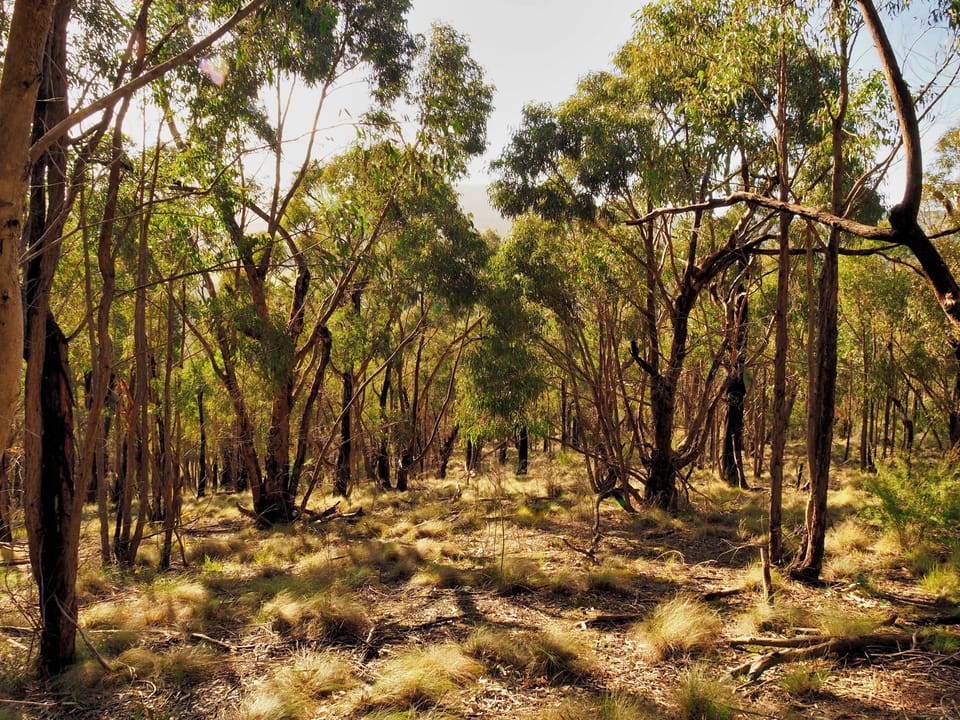 Explore the 100 acre property