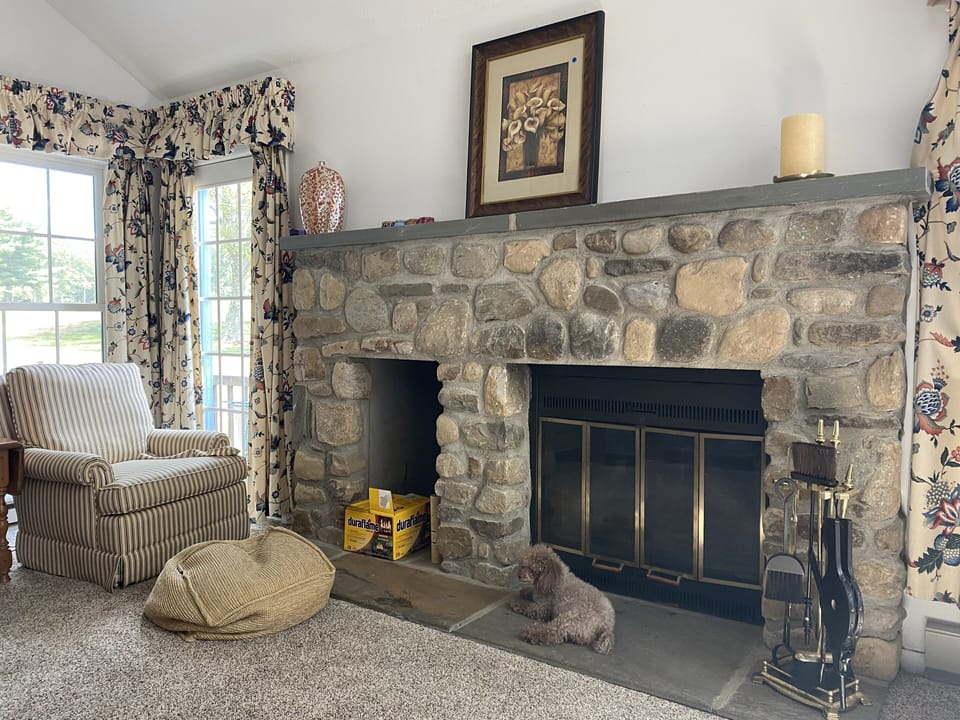 Grand room fireplace - pup not included!
