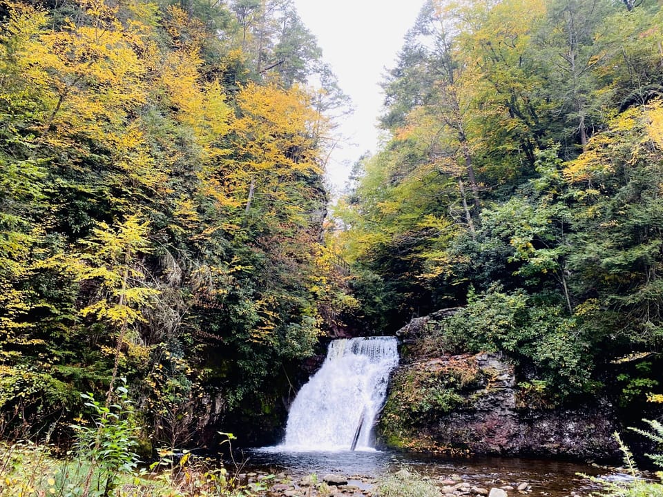 Fall leaves and waterfall, short hike from the cottage!