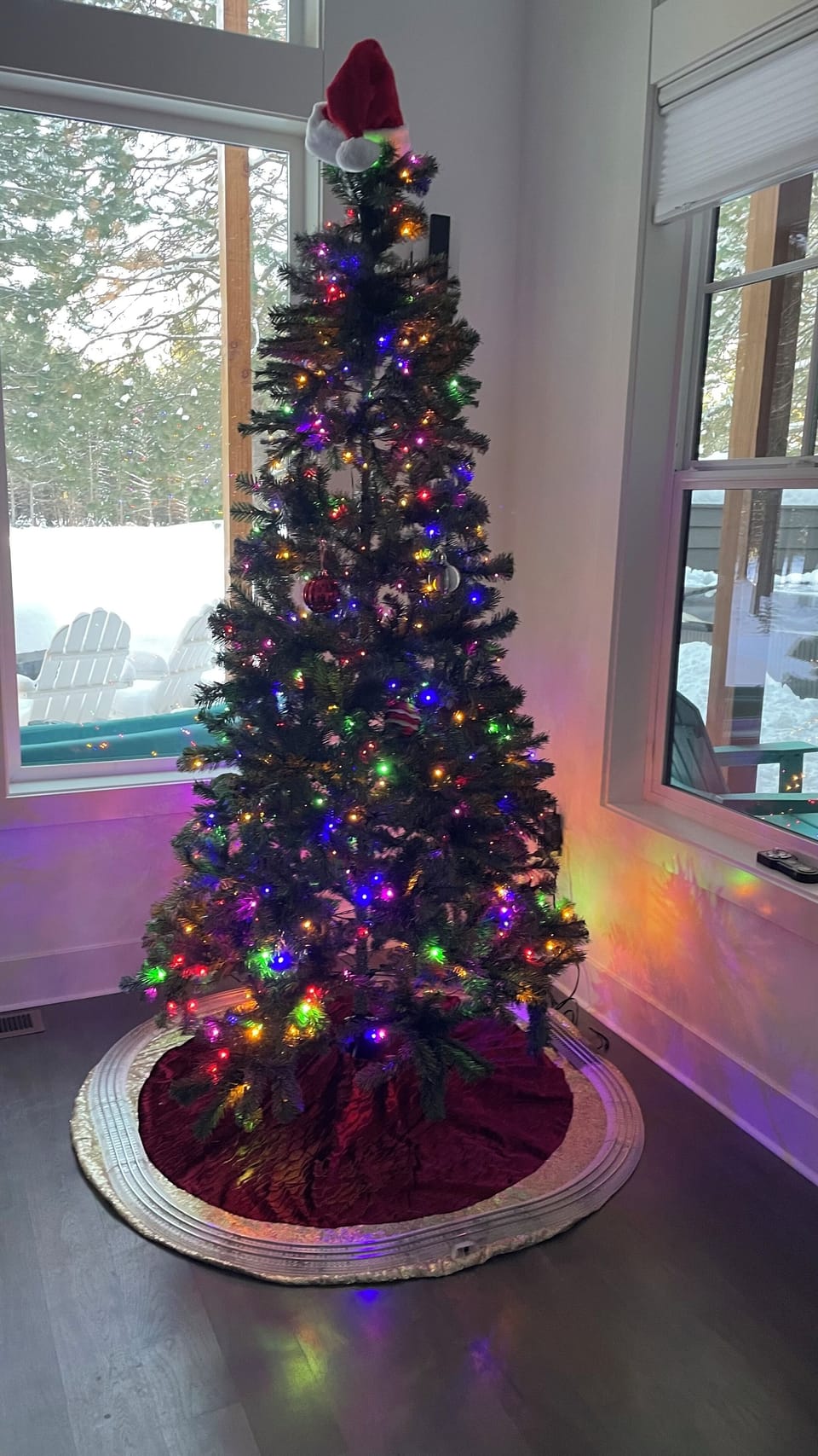 Enjoy a Christmas tree during your winter celebrations 