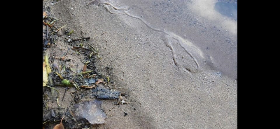 sand bottom, clear waters