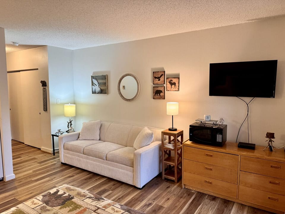Comfy queen Sofa Bed and smart TV