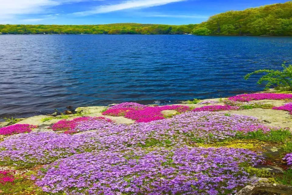 early spring
