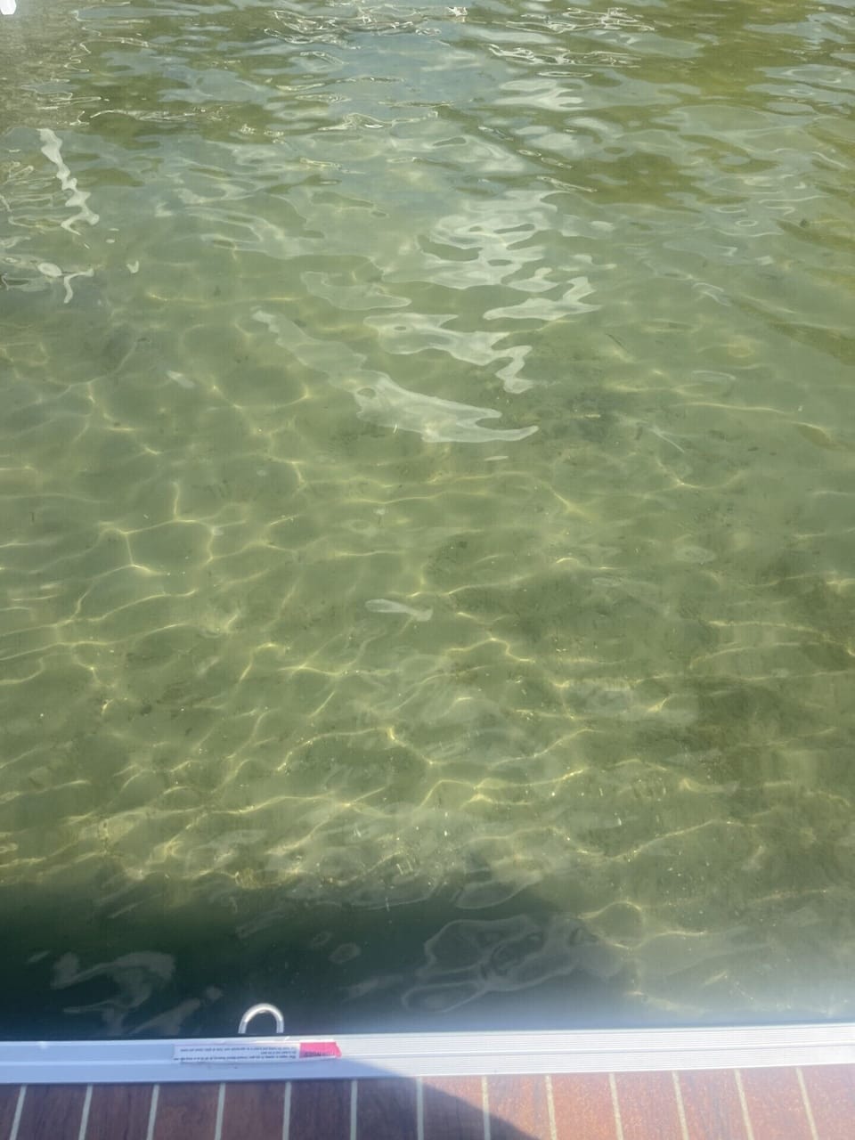 [Duck Lake] Shallow water and sandy.