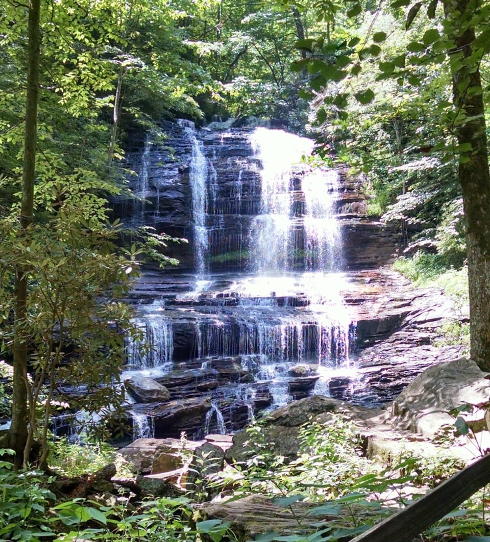 Pearson Falls Waterfall