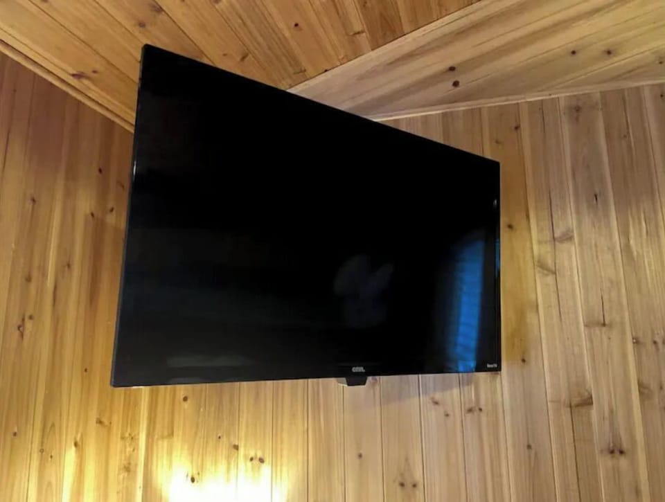 32 inch smart TV with Roku