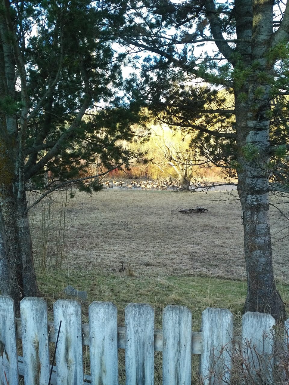 Property grounds