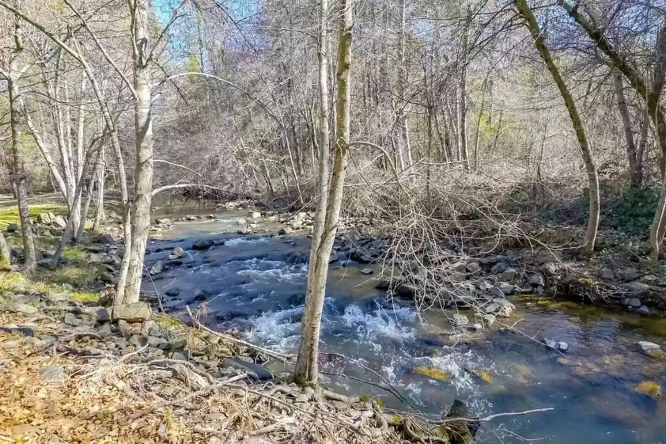 The creek in the backyard