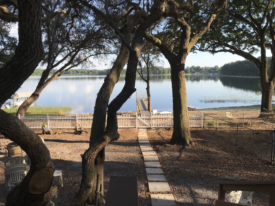 view from the sunroom