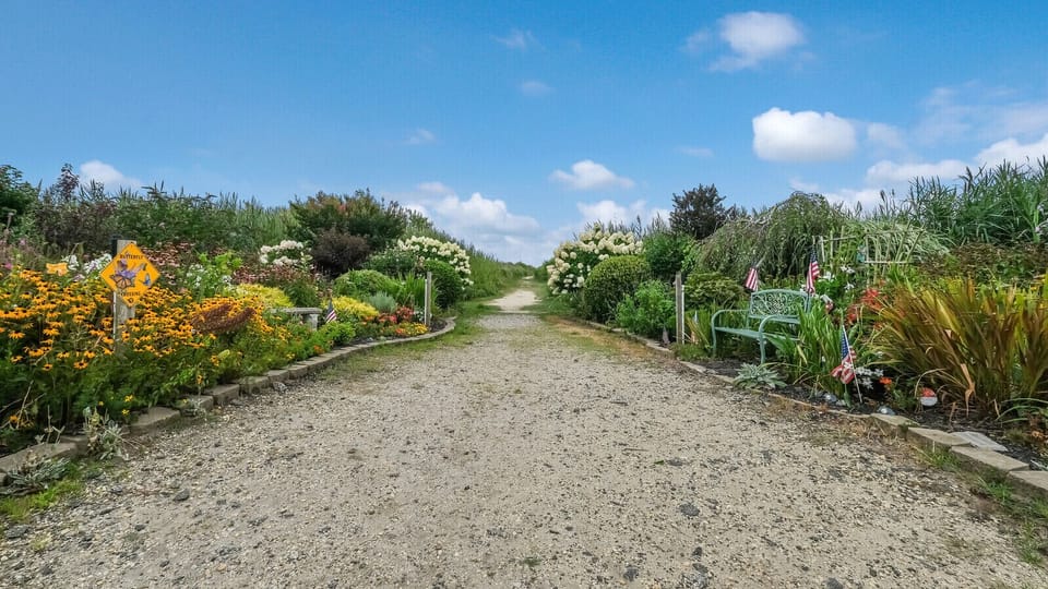 Path to the beach