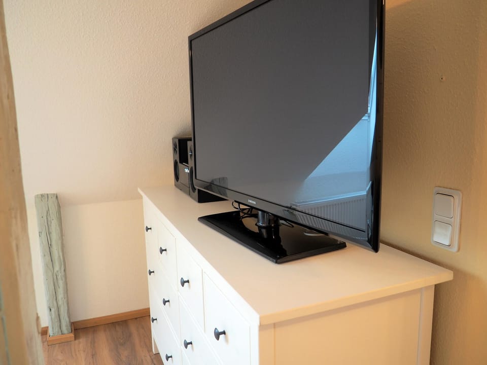 Television