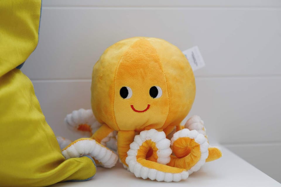 Which toy was their favourite?