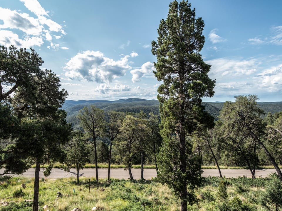 Stunning Wooded & Mountain Views