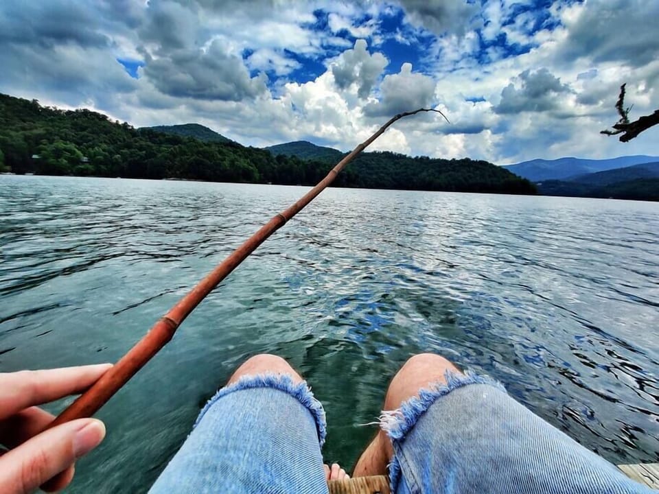 There are lots of fish in the lake, and even some salmon!