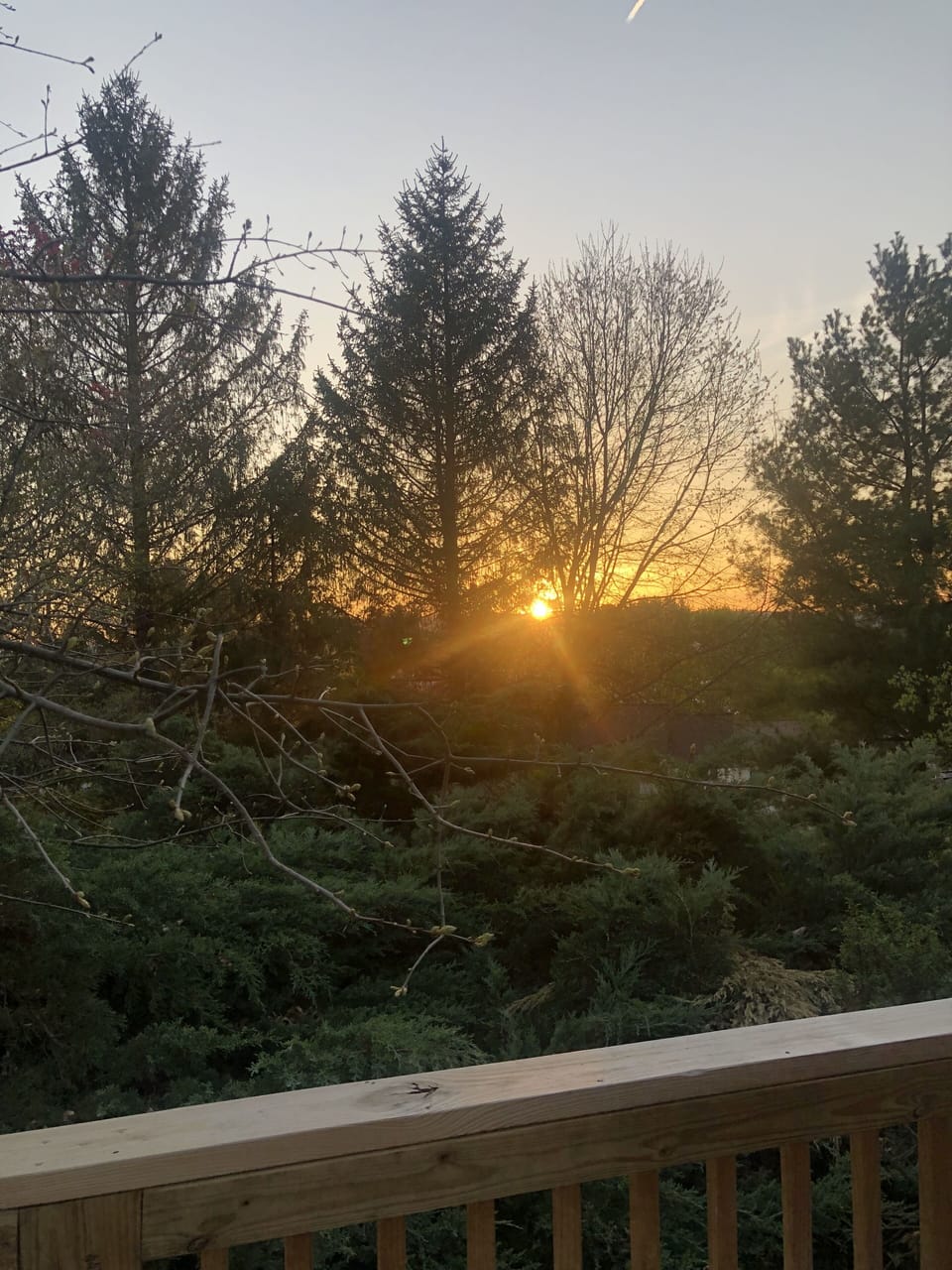 View from property