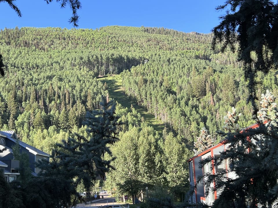 Views of mountains & ski runs from deck, living room windows and kitchen window.