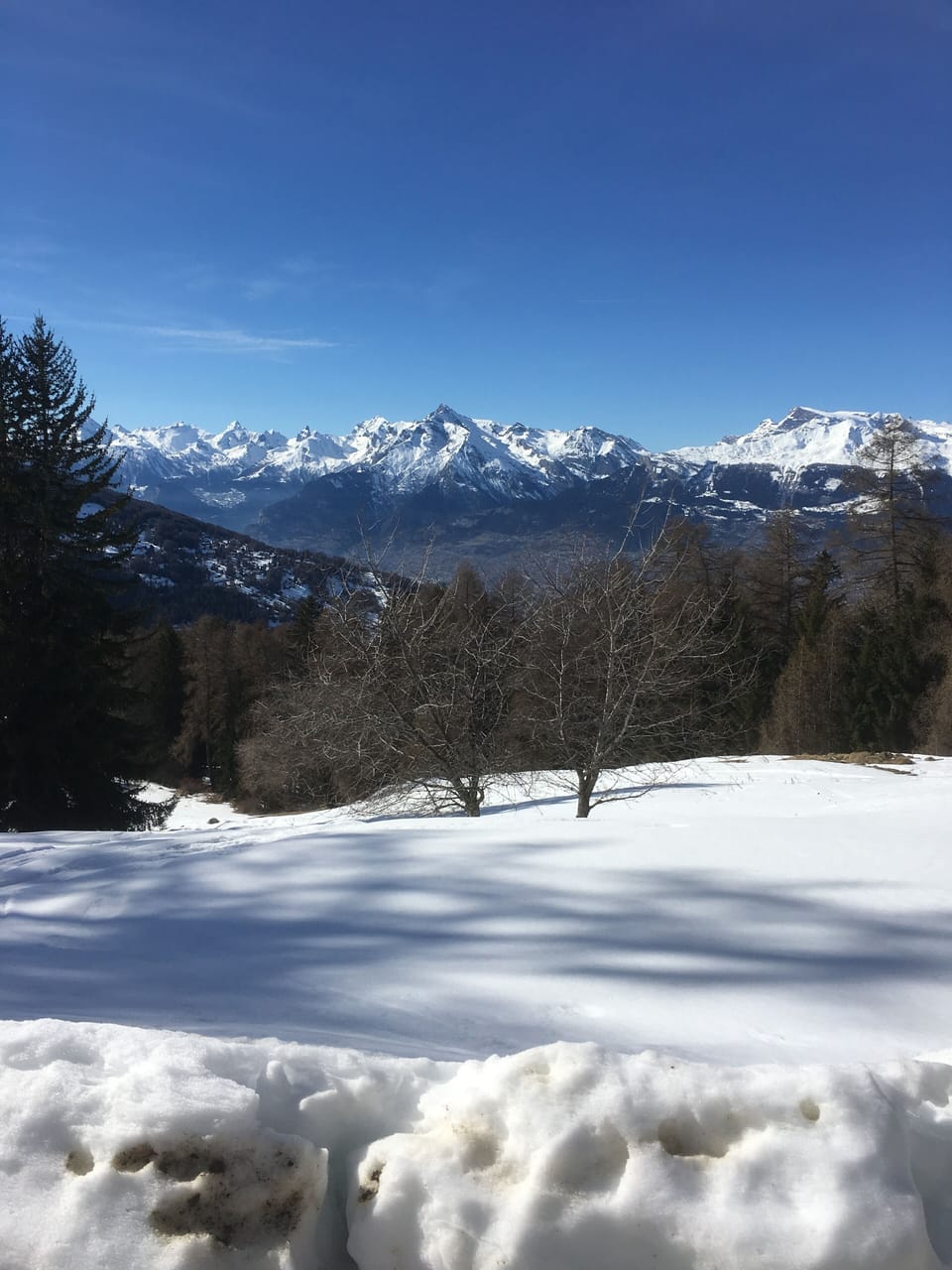 Snow and ski sports
