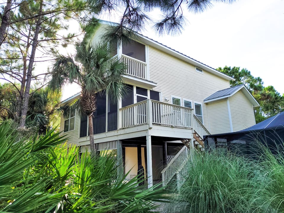 Welcome to Dolphin Dreams!