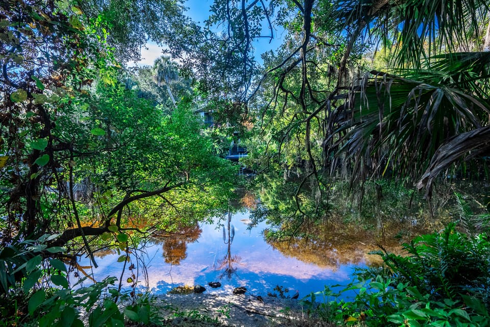 Park in the back of the House by Hillsborough River