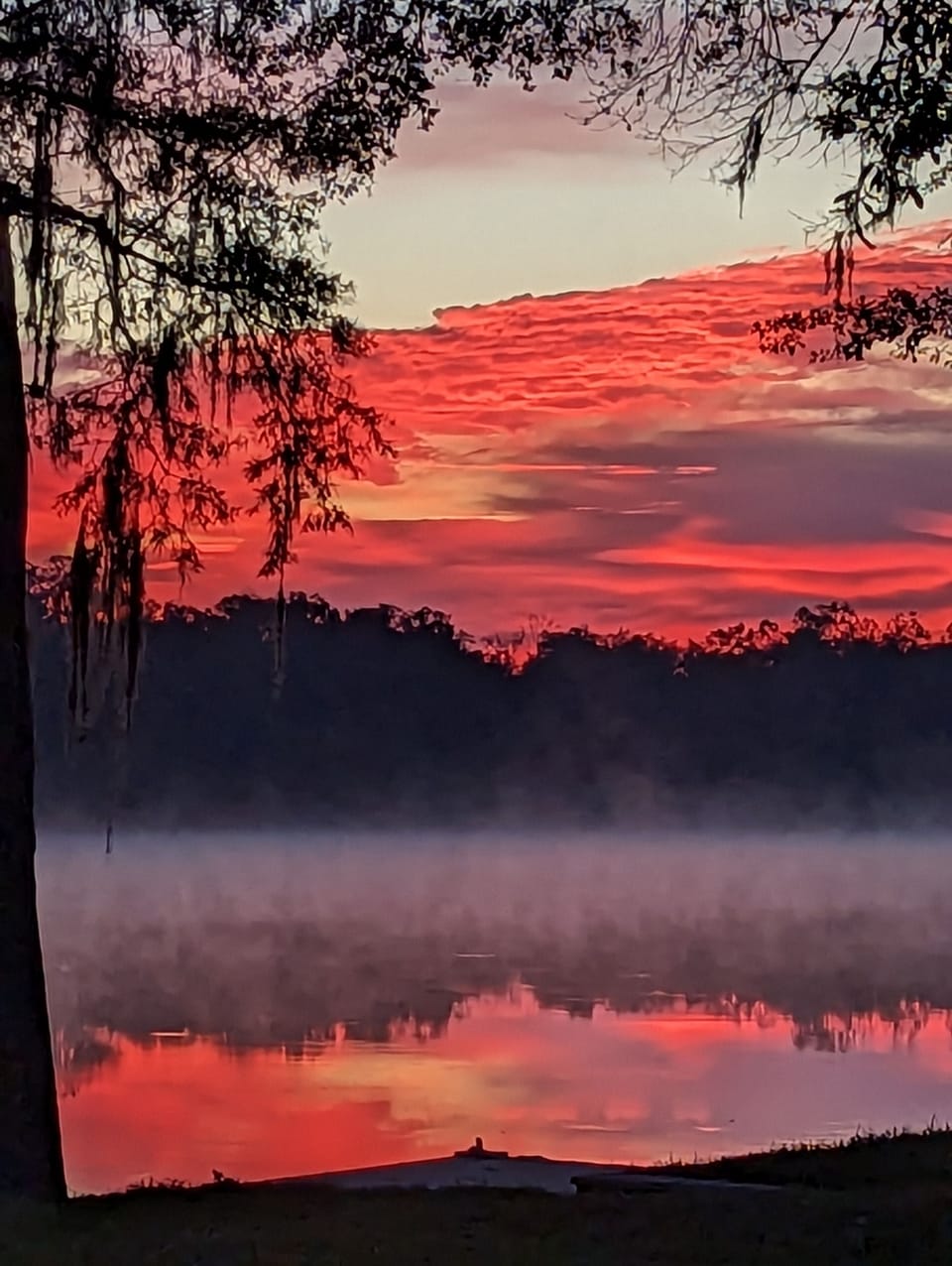Morning on the Suwanee at Riverhaven