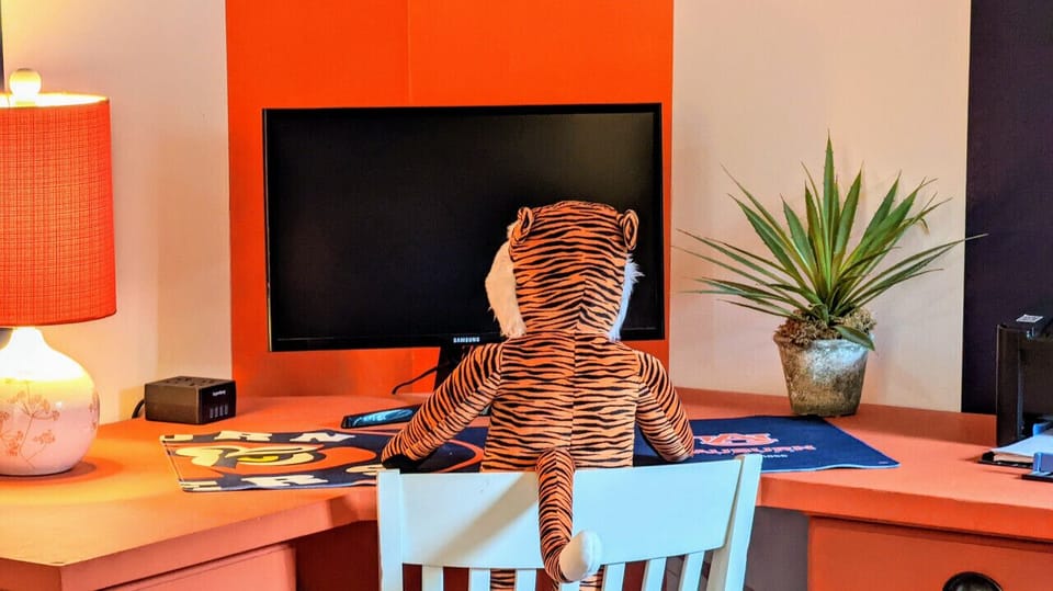 Aubie's Master Bedroom - but he shares!