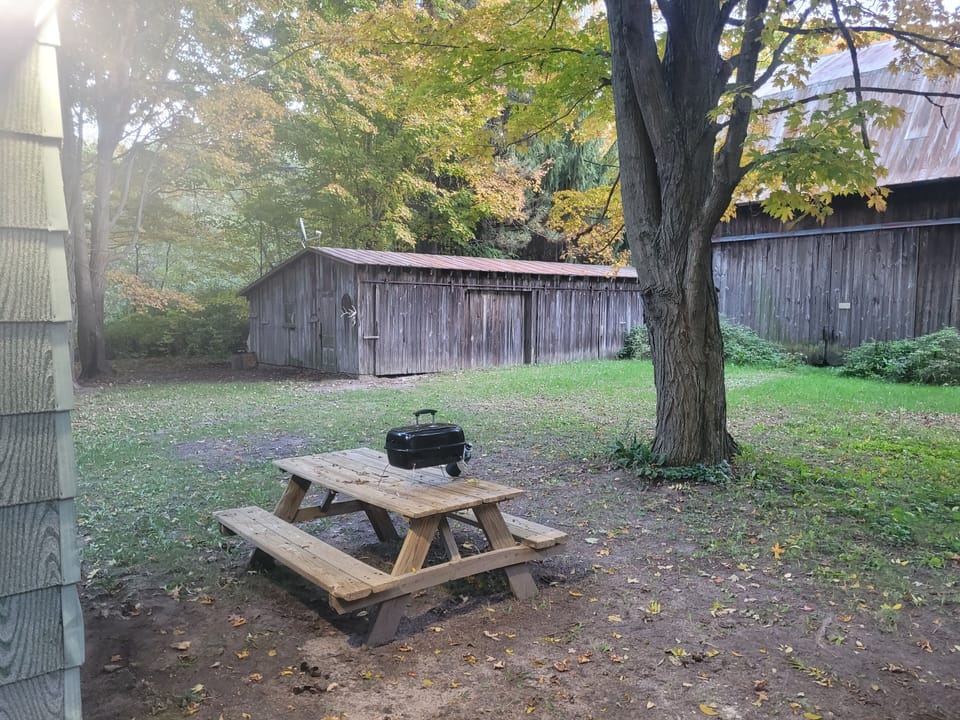 Picnic table and grill available behind cottage.