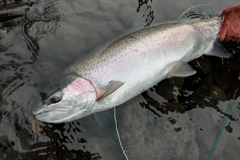 Good fishing nearby!