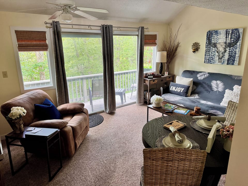 Light & bright open living space w/ cozy queen futon & recliner.
