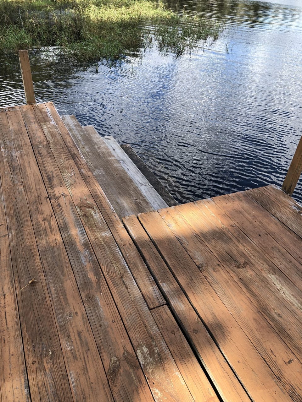 Steps from dock for easy swimming access. 