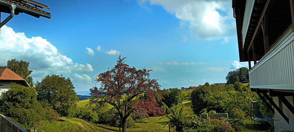 View from property
