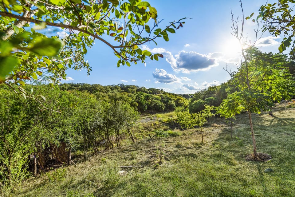 creek and hiking trails for miles