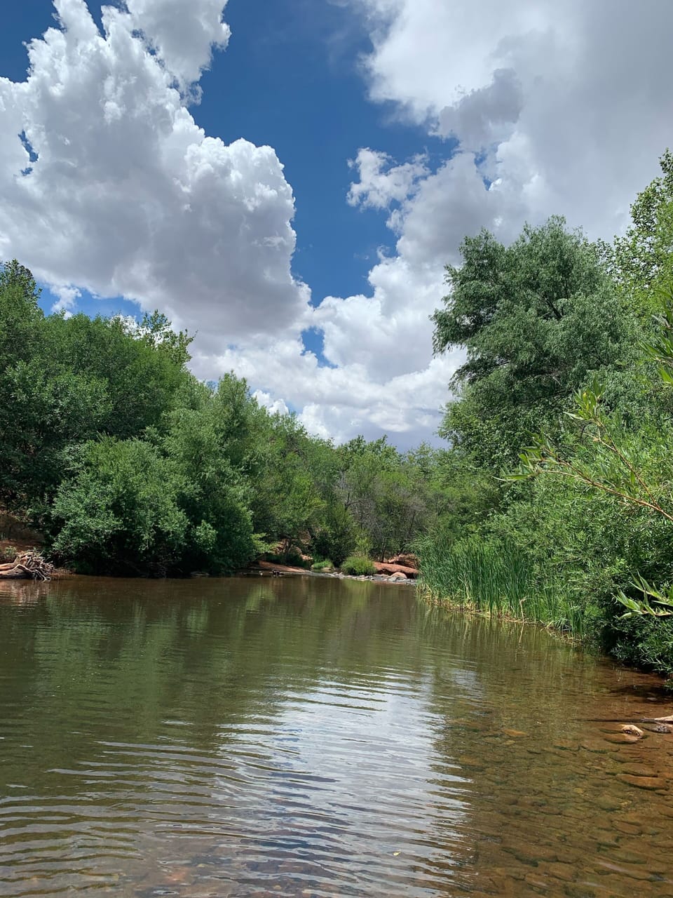 Oak Creek accessed in Crescent Moon Ranch