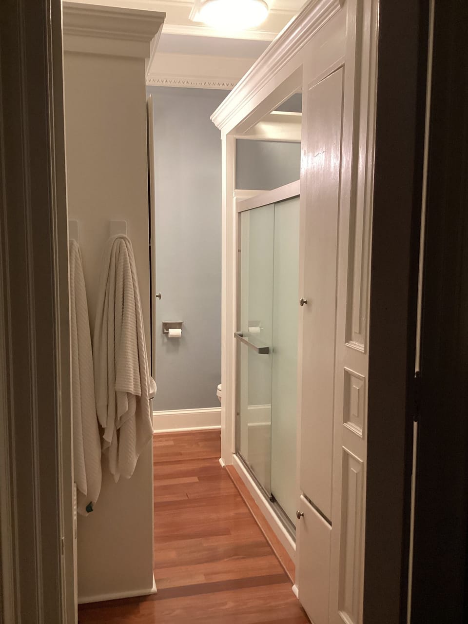 Shower and toilet have grab bars