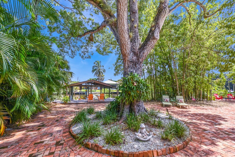 Old growth mahogany tree